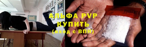 прущие грибы Володарск